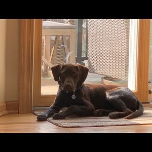 Meet your Posher, Andy